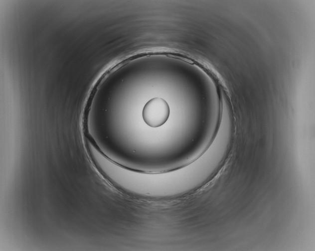 X0000116631181200912111211