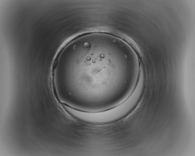 X0000116631184200912111211