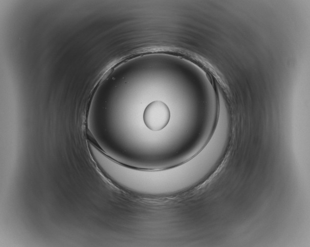 X0000116631185200912111211