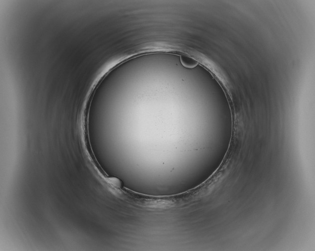 X0000116631187200912111211