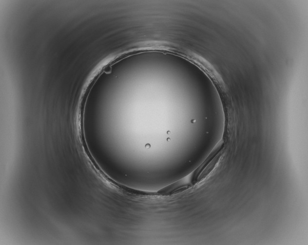 X0000116631188200912111211