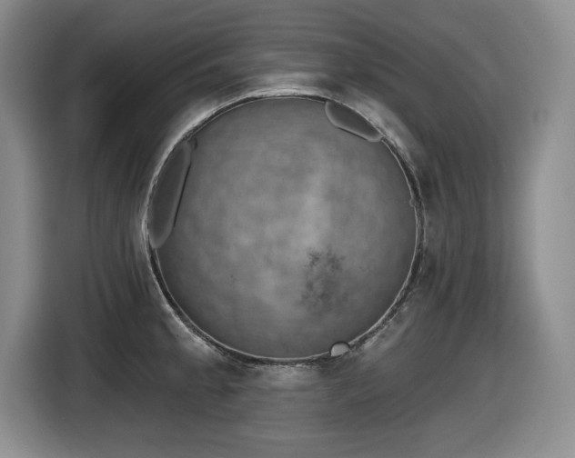 X0000116631189200912111211