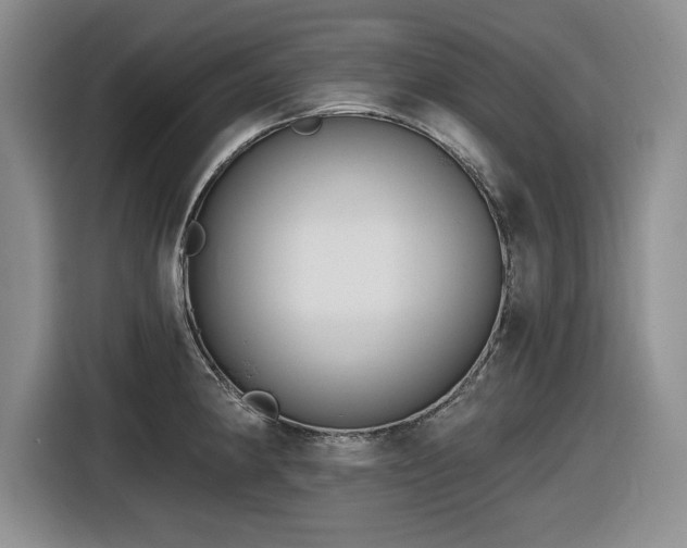 X0000116631190200912111211