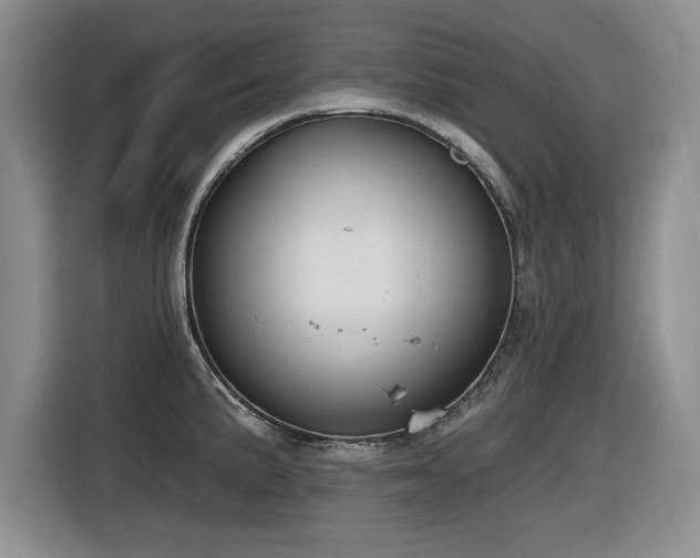 X0000116631191200912111211