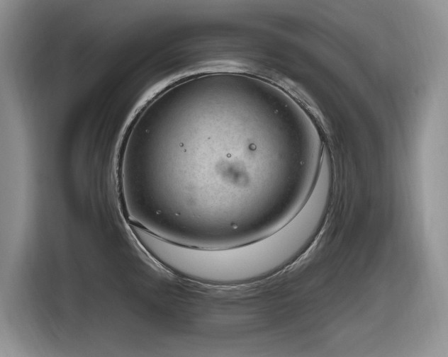 X0000116631192200912111211