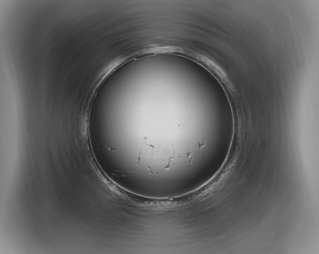 X0000116631193200912111210