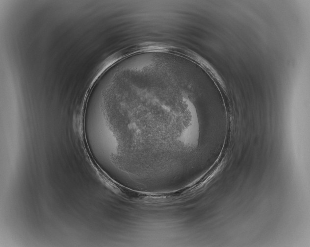 X0000116631194200912111210