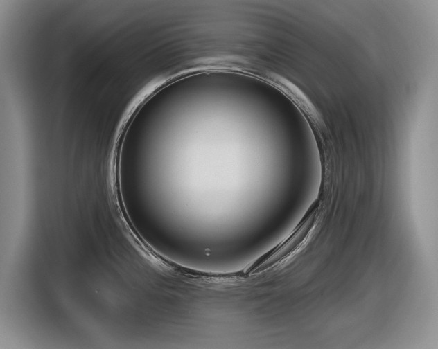 X0000116631196200912111210