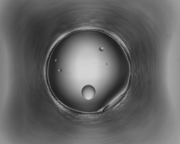 X0000116631197200912111210