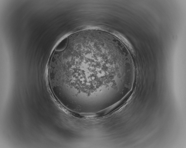 X0000116631198200912111210