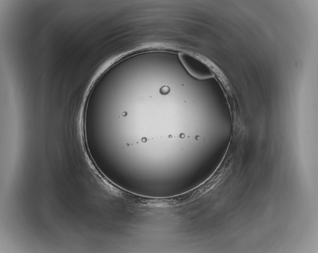 X0000116631199200912111210