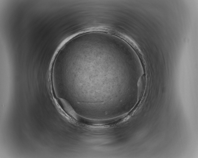 X0000116631200200912111210