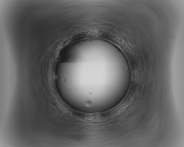 X0000116631201200912111210