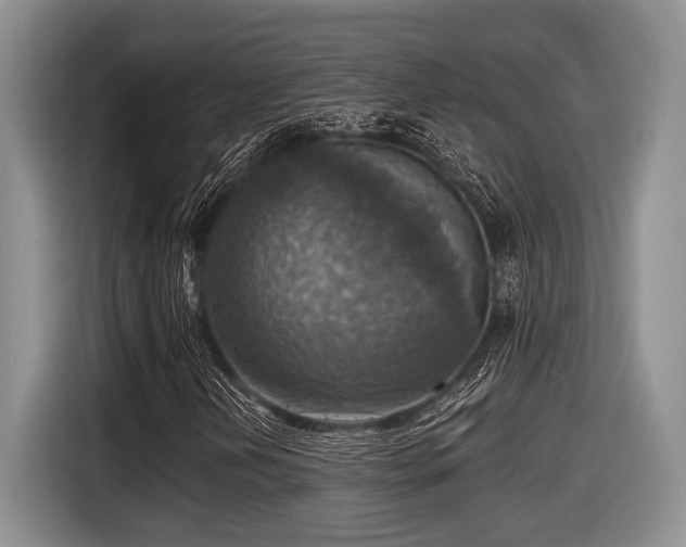 X0000116631202200912111210