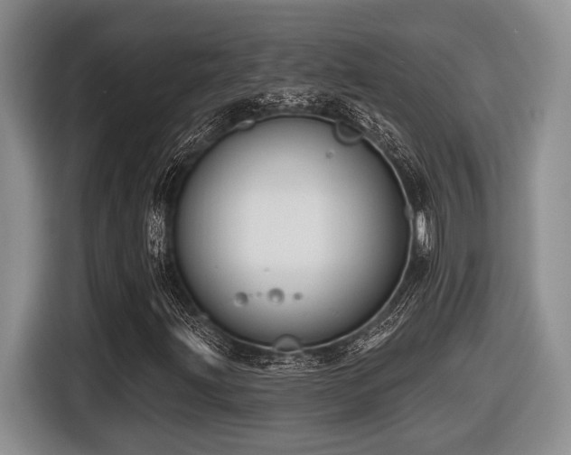 X0000116631203200912111210