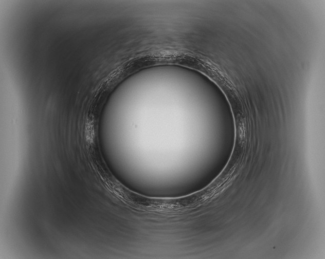 X0000116631204200912111210