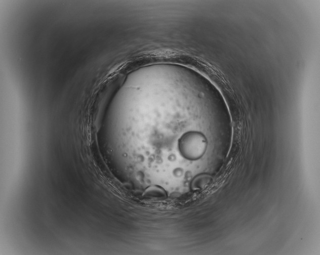 X0000116631205200912111210