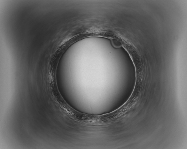 X0000116631206200912111210