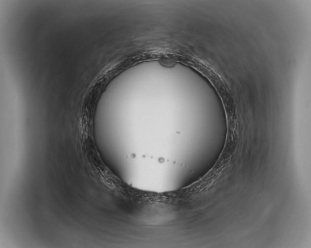 X0000116631207200912111210