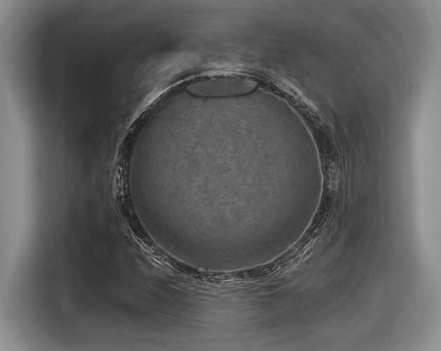 X0000116631208200912111210