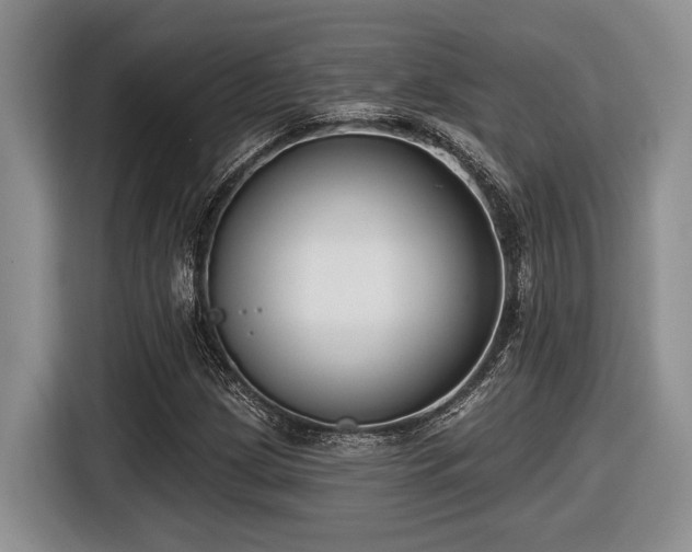 X0000116631209200912111210