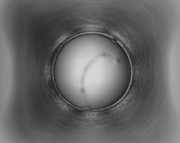 X0000116631211200912111210