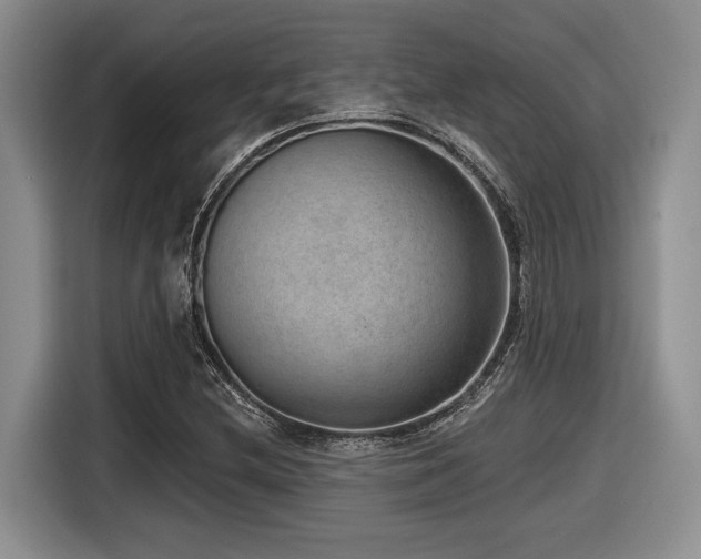 X0000116631212200912111210