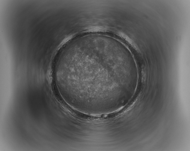 X0000116631213200912111210