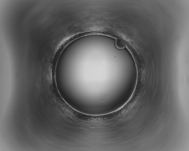 X0000116631214200912111210