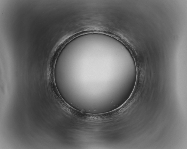 X0000116631215200912111210