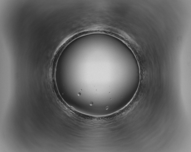 X0000116631216200912111210