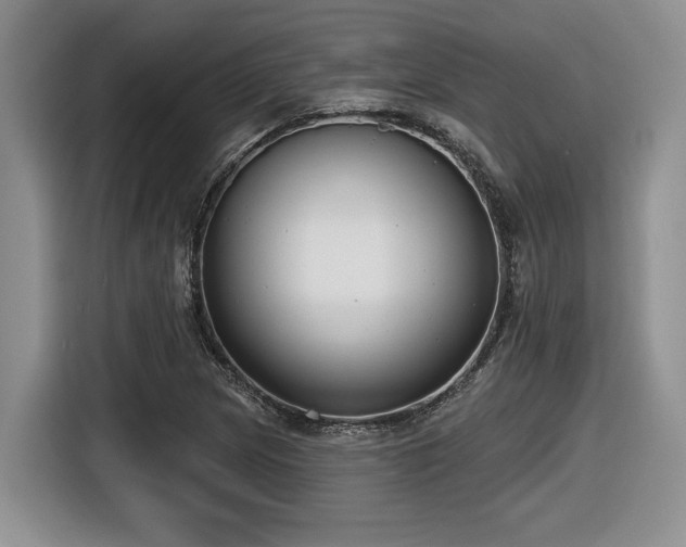 X0000116631217200912111210