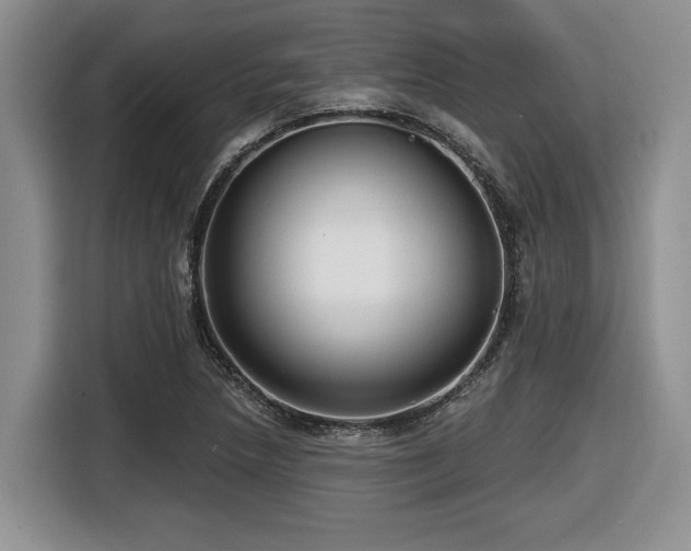 X0000116631218200912111210