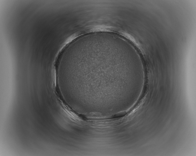 X0000116631219200912111210