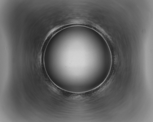 X0000116631222200912111210