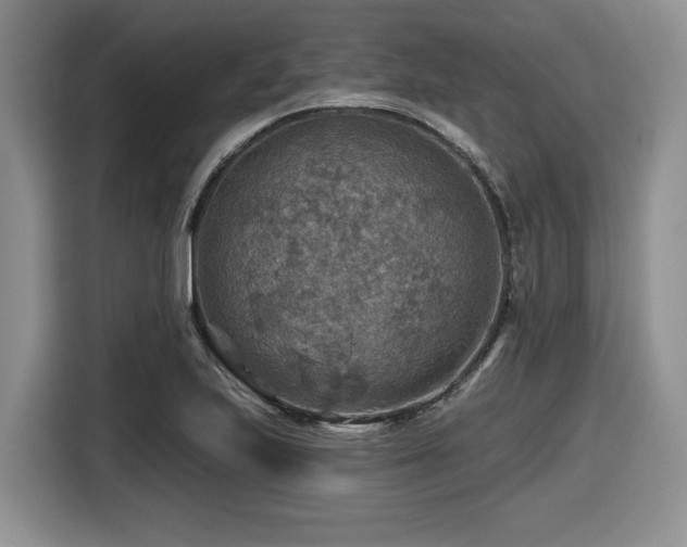 X0000116631223200912111210