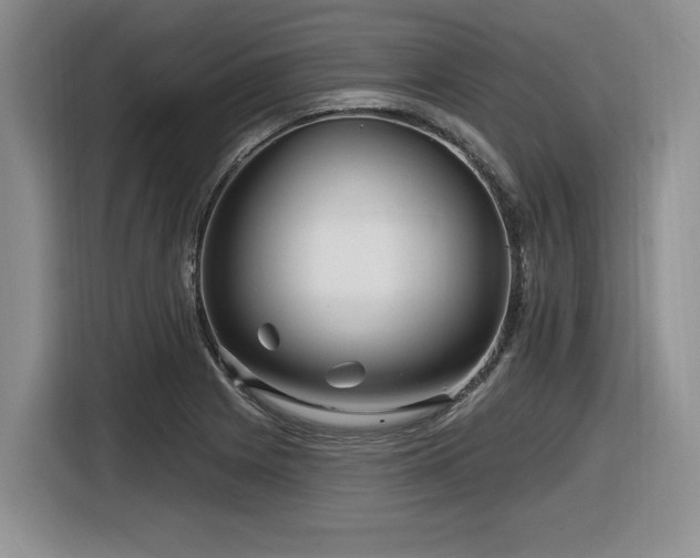 X0000116631225200912111210