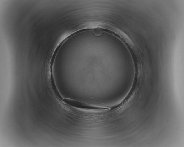 X0000116631226200912111210