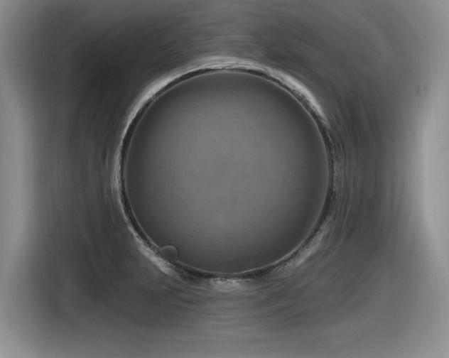 X0000116631231200912111210