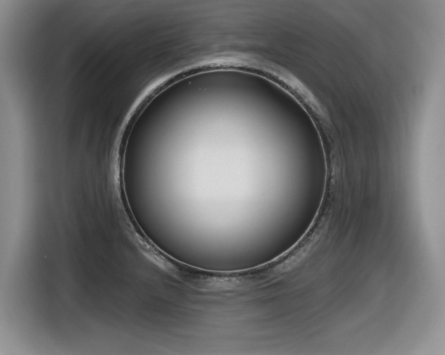 X0000116631232200912111210