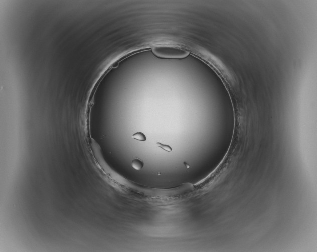 X0000116631236200912111210