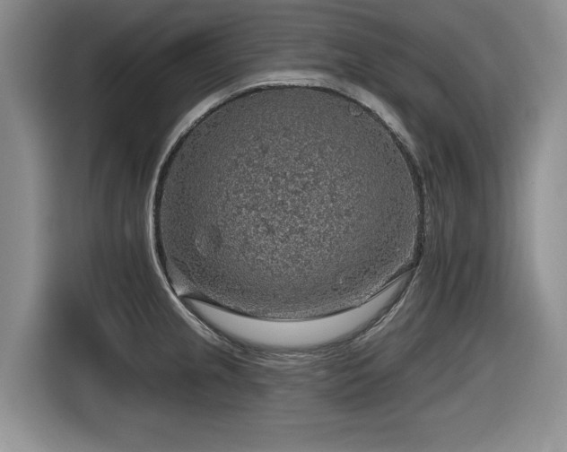 X0000116631237200912111210