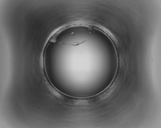 X0000116631238200912111210