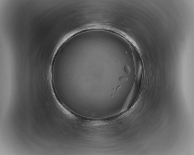 X0000116631239200912111210