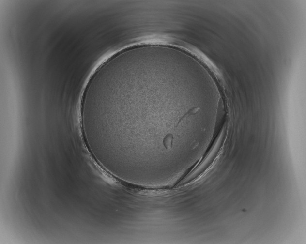 X0000116631240200912111210