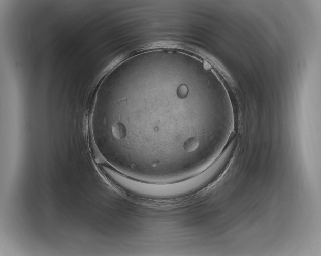 X0000116631241200912111210