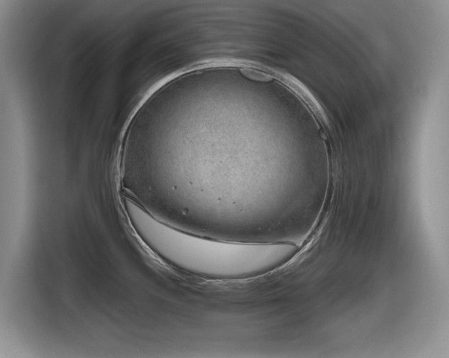 X0000116631244200912111210