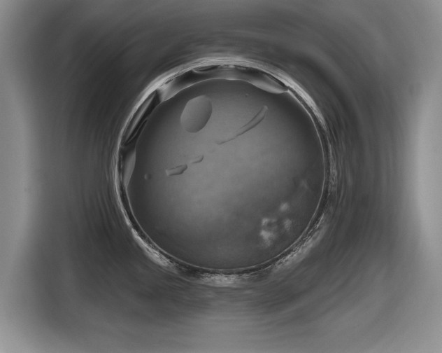 X0000116631245200912111210