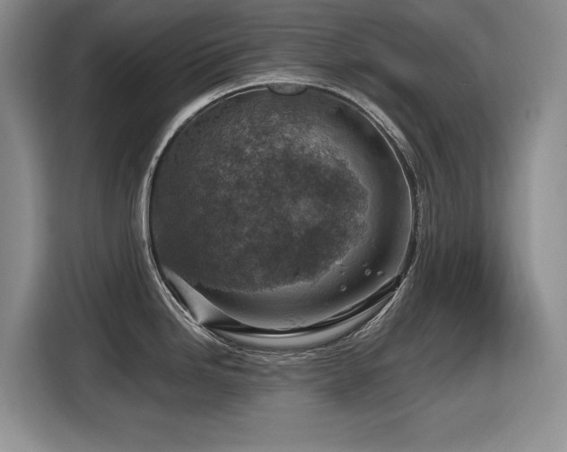 X0000116631246200912111210