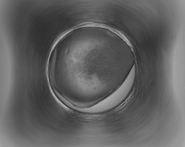 X0000116631247200912111210